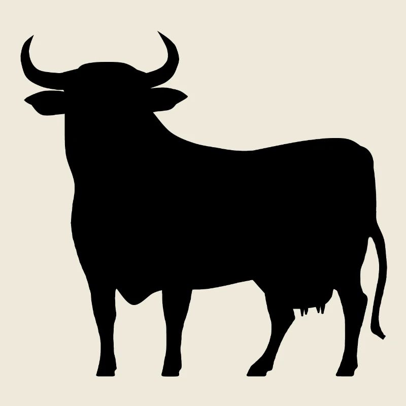 allgäu_kuh_schwarz