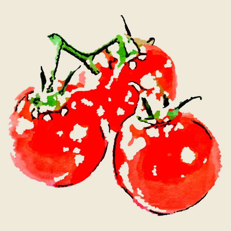 la tomate