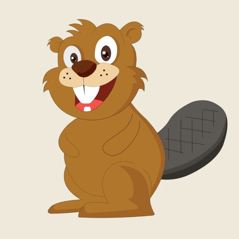 castor