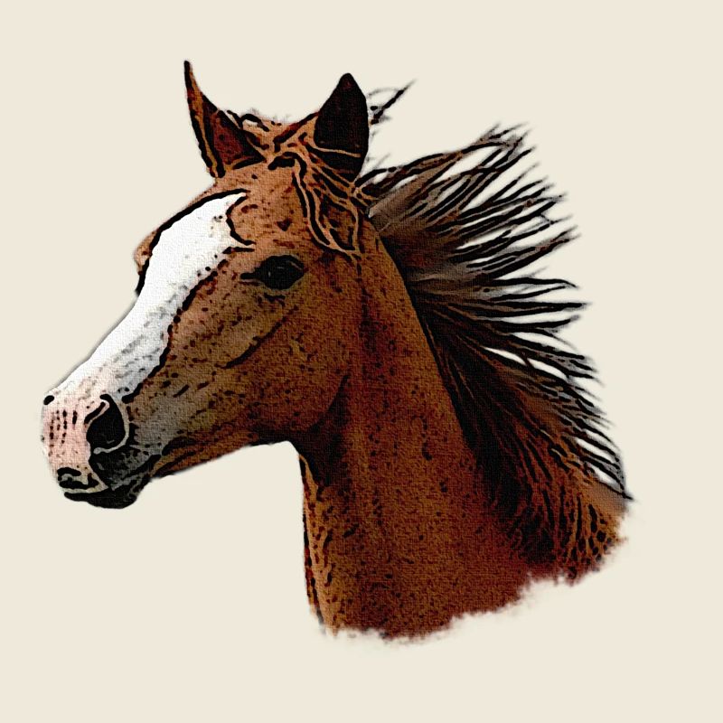 pferdegesicht seitlich, wunderschöne pferde