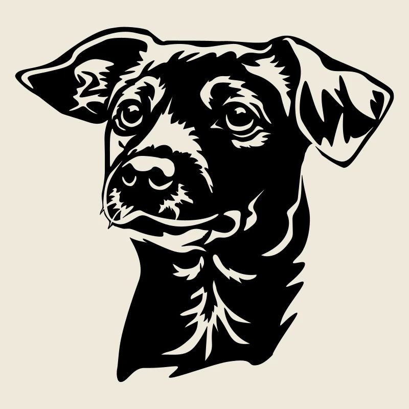 Jack Russell Terrier Head