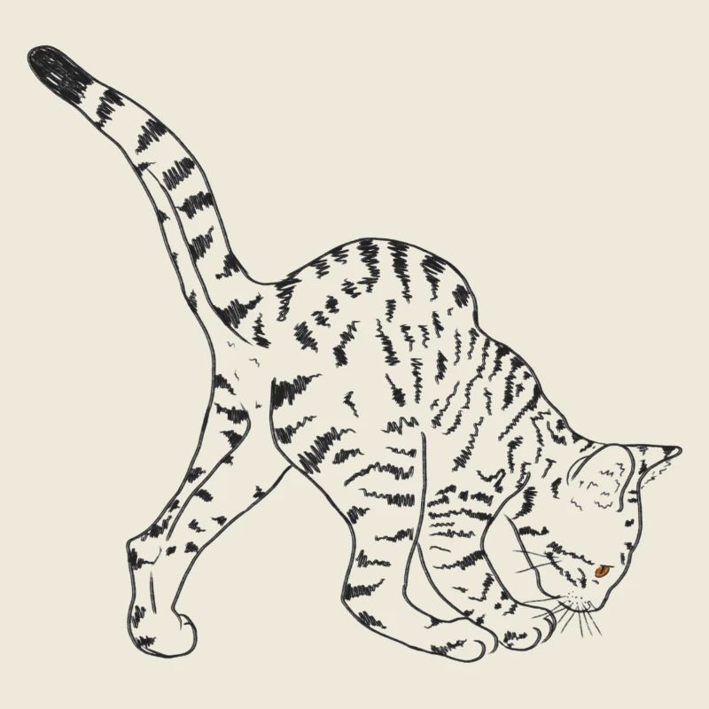 Schwarze Katze