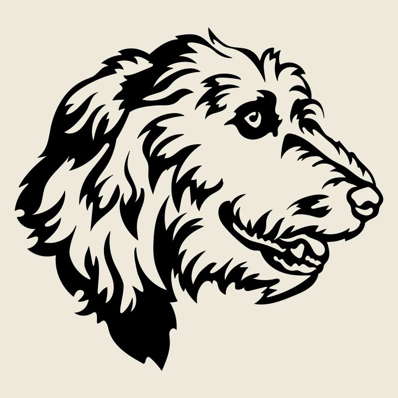Irish Wolfhound Kopf