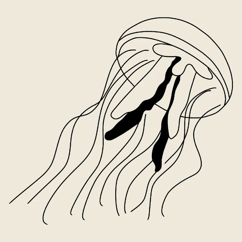 Jellyfish - black and white graphic