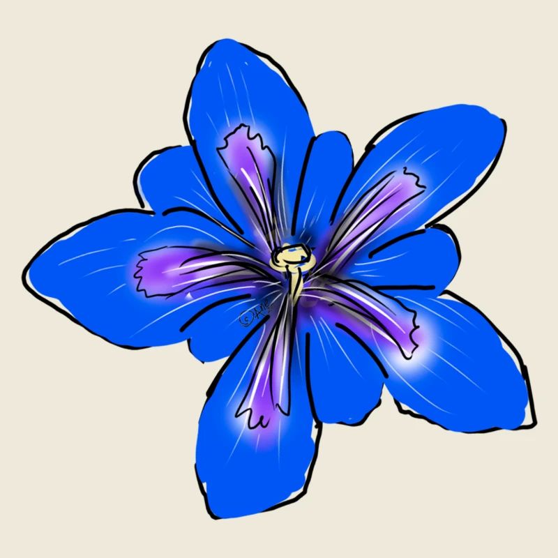 Enzian, Blume