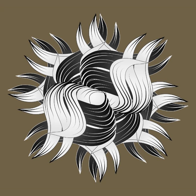Formes abstraites – Design dynamique en noir et blanc