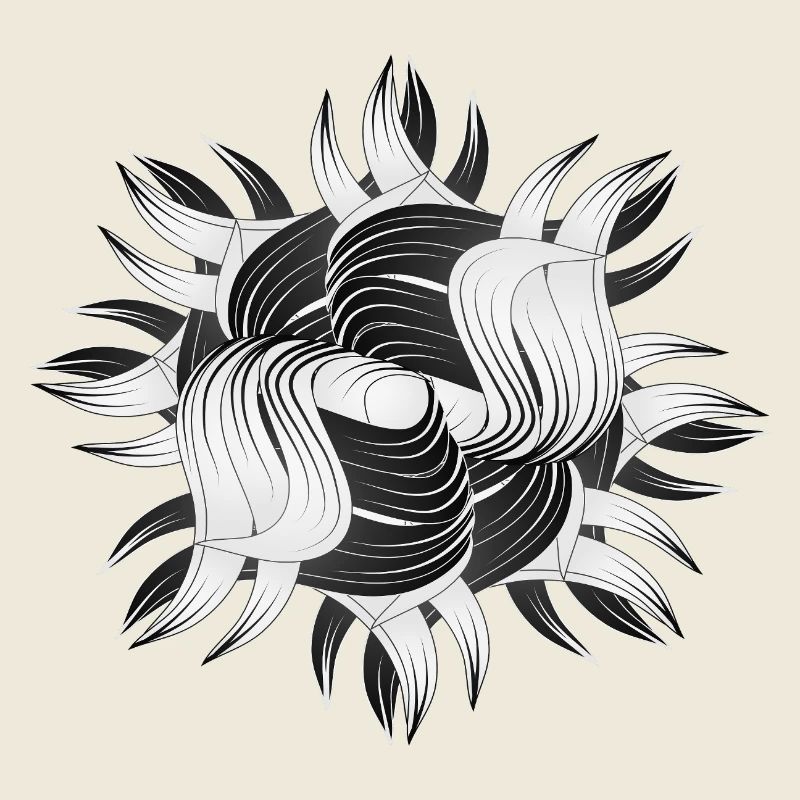 Formes abstraites – Design dynamique en noir et blanc