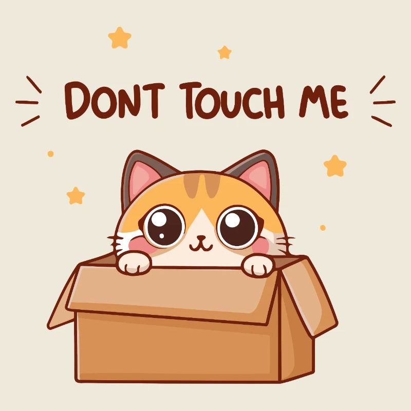 Chaton dans une boîte: Ne pas toucher