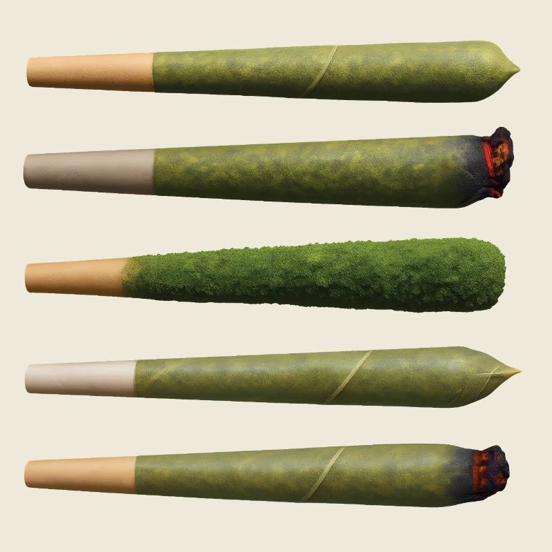BIO GANJA - freedom & rights