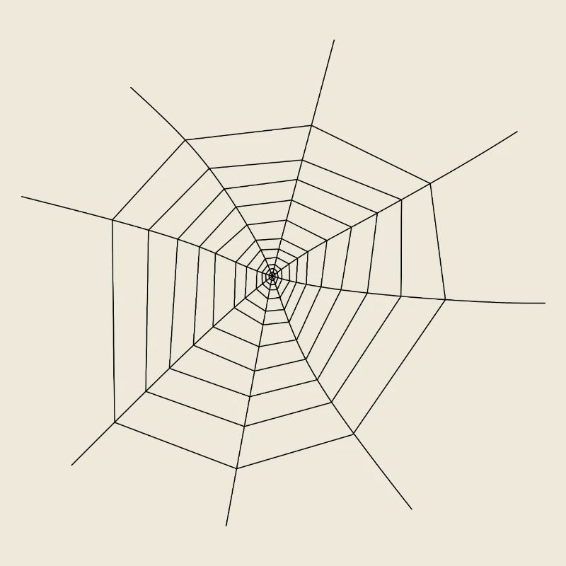 Spinnennetz