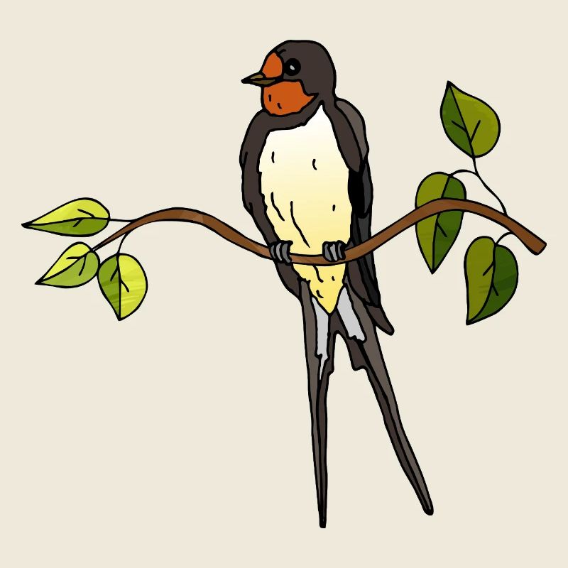 swallow