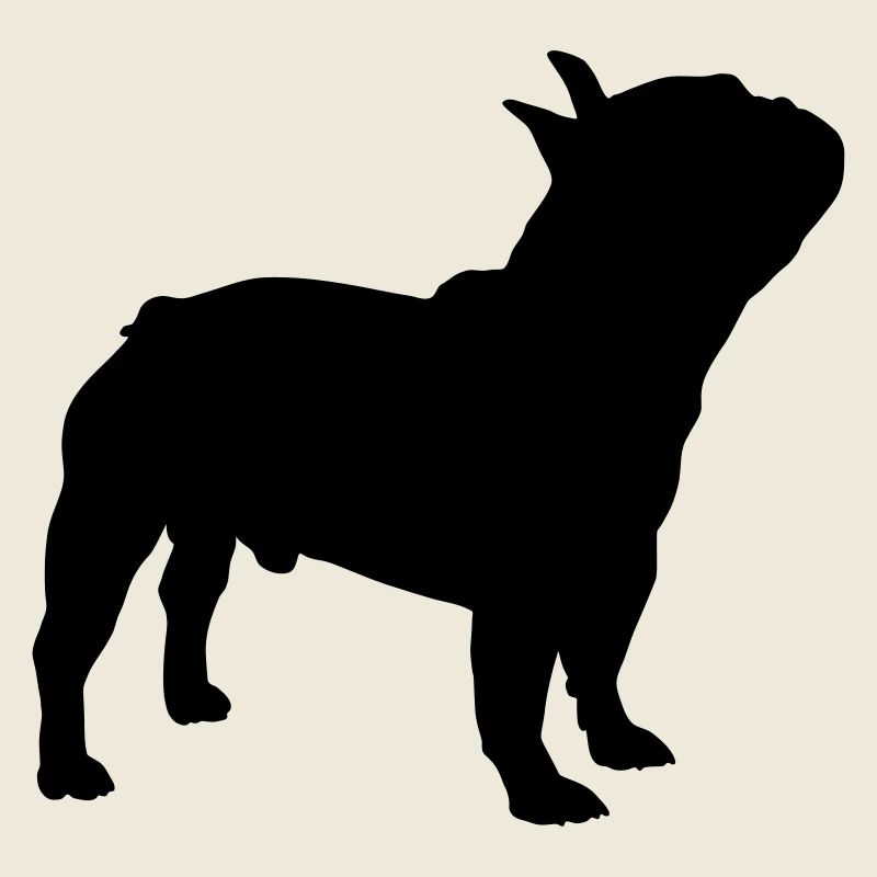 Bouledogue français