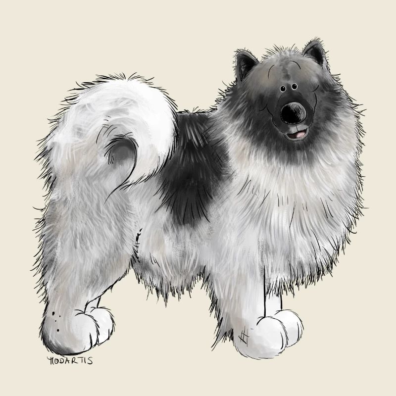 Wolfsspitz Hundemotiv I Comic Hund Geschenk