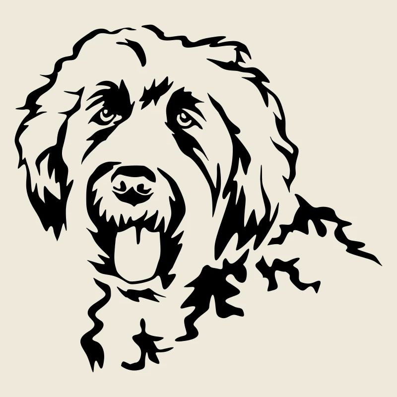 Labradoodle head