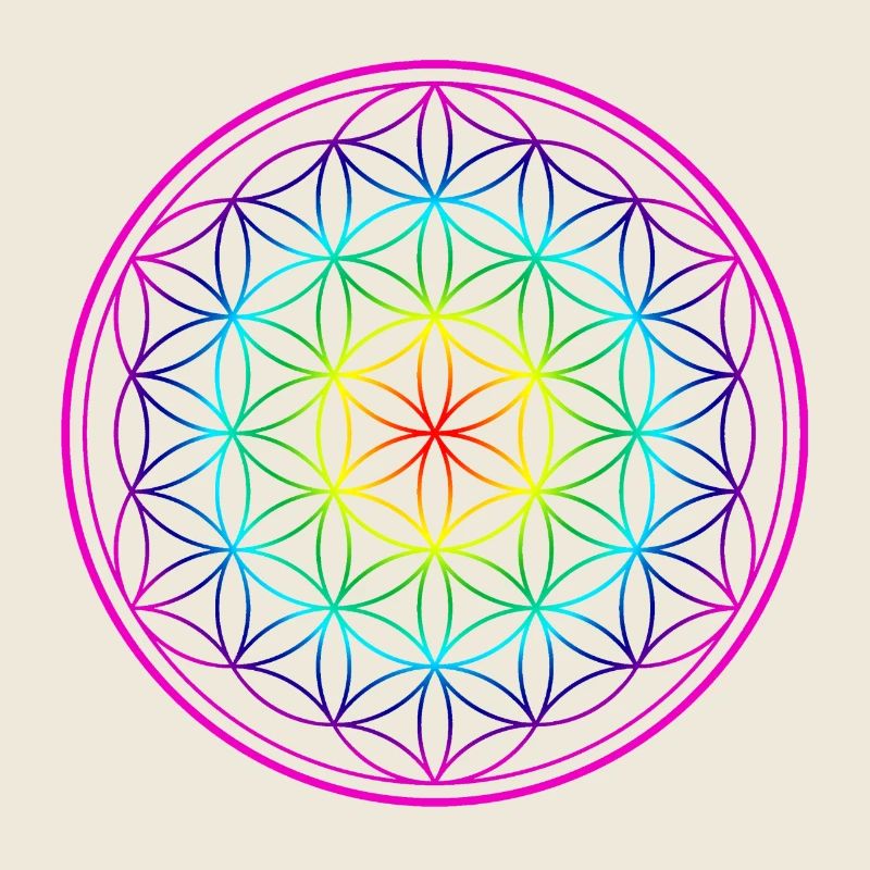 Fleur arc-en-ciel de la Vie Fleur de la Vie