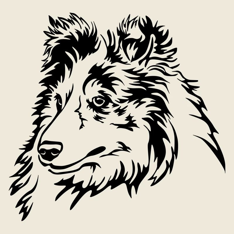 Sheltie Kopf