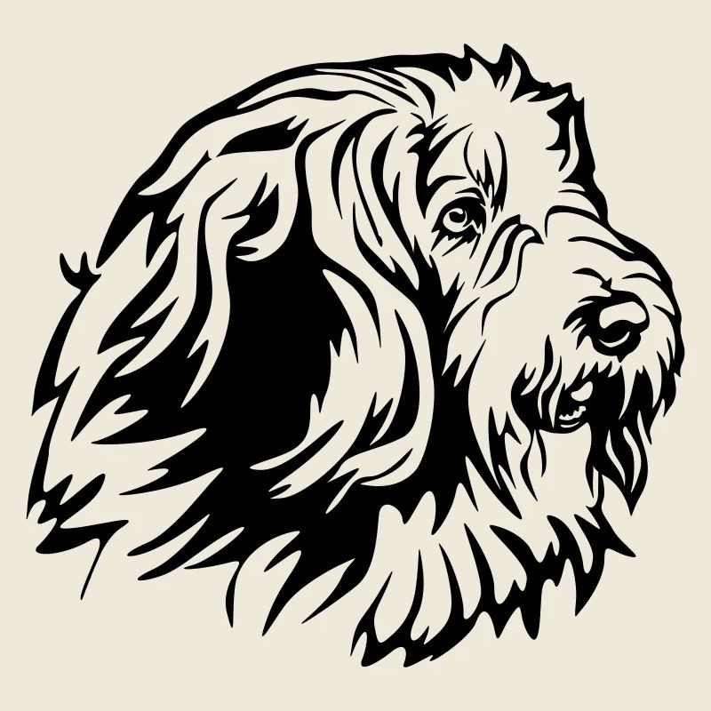 Bearded Collie Head