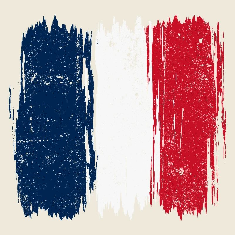 Brushstroke French Flag