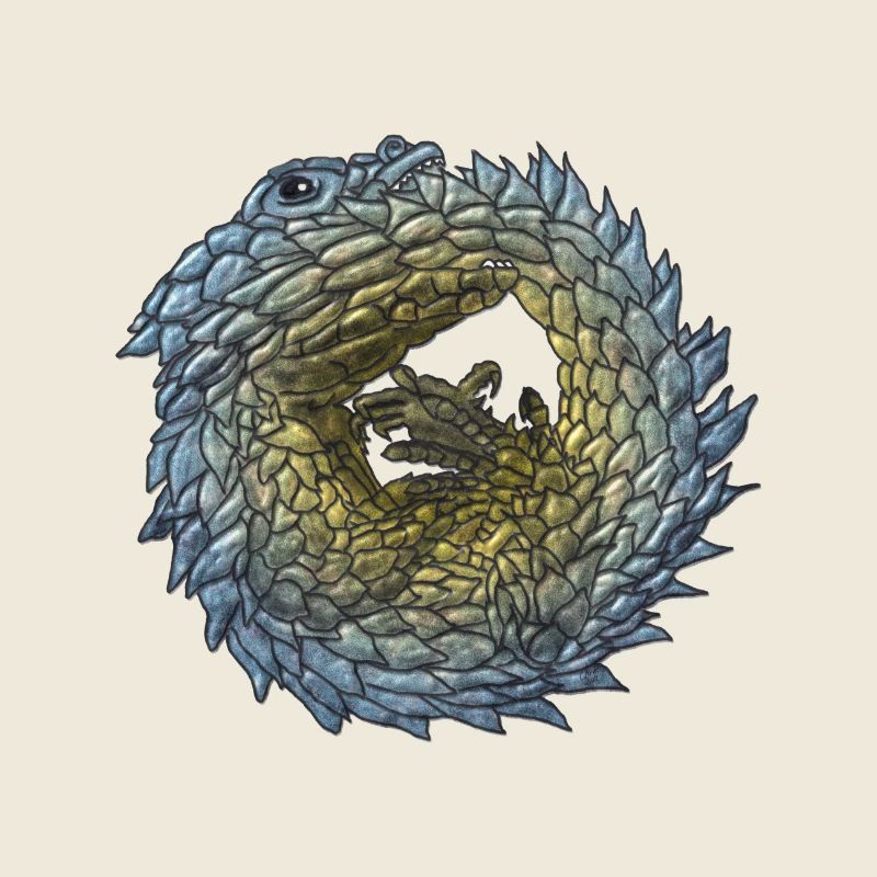 Armadillo Lizzard