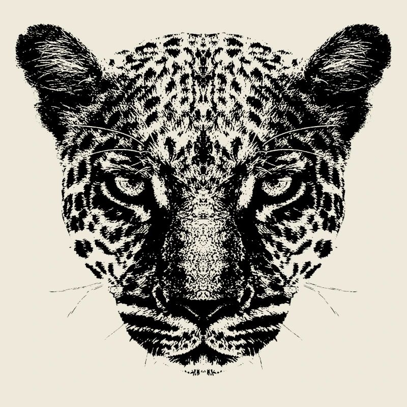 Leopard / Head / Black