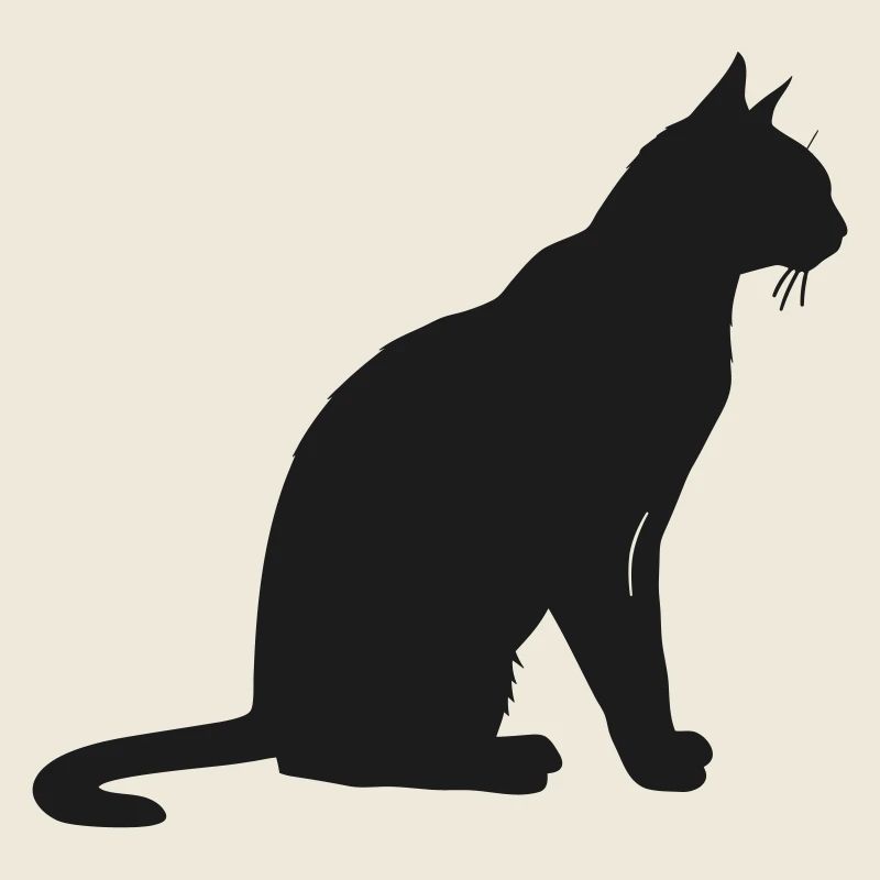 Silhouette élégante d’un chat