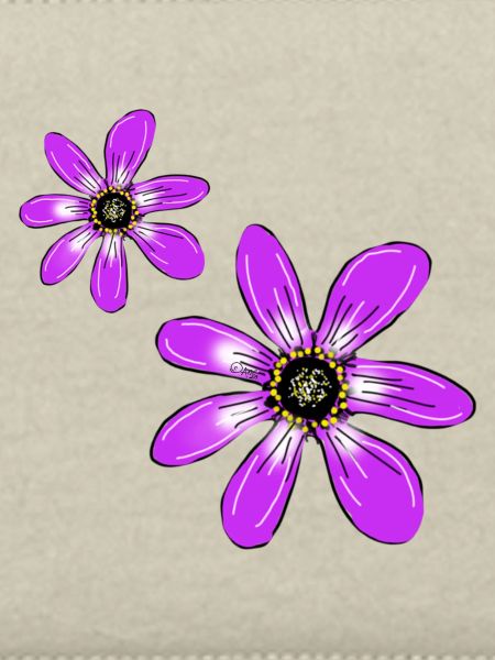 Fleurs Rose