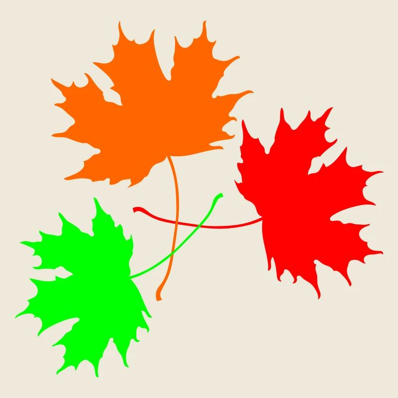 Érable tricolore