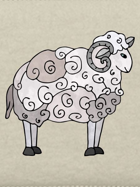Widder