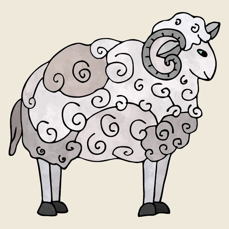Widder