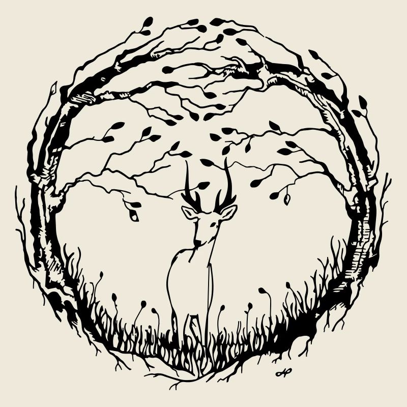 La forêt