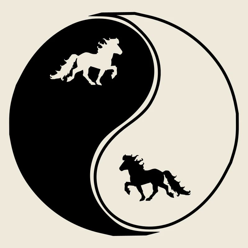 Islandpferde Yin Yang, Islandpferd Tölt, Isländer