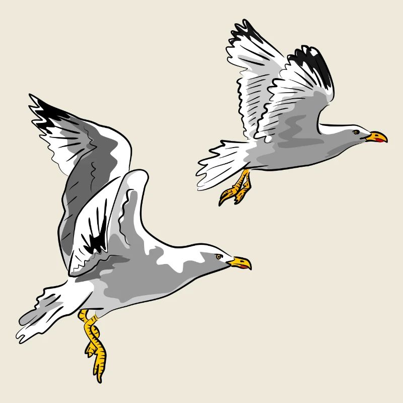 Möwen im Flug Design