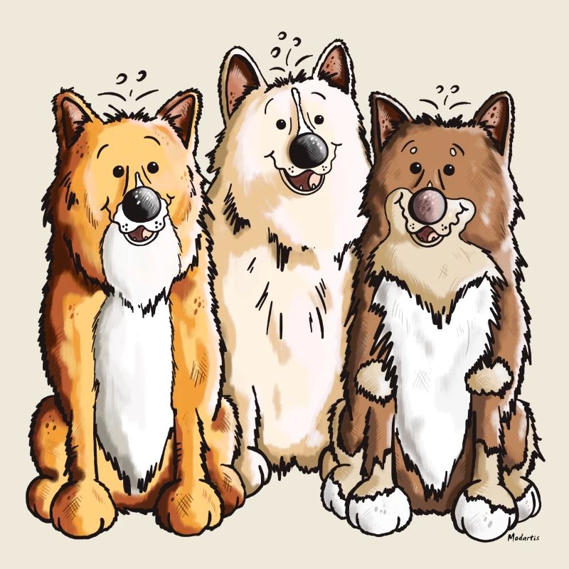 Das Islandhund Team