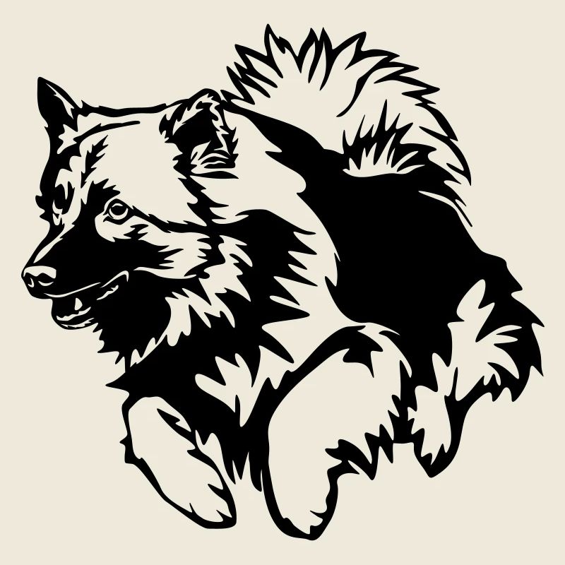 Wolfsspitz
