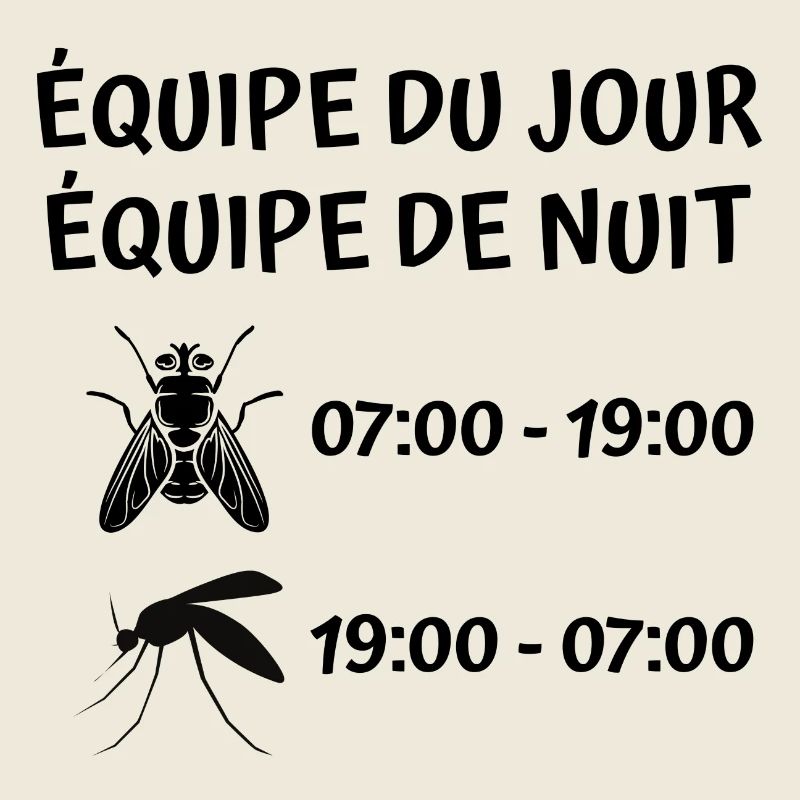 mouche, moustique