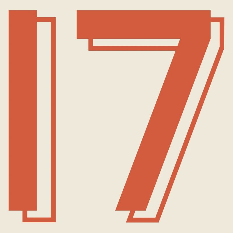17 Trikotnummer