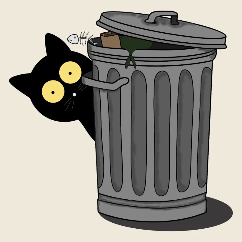 Chat noir observé