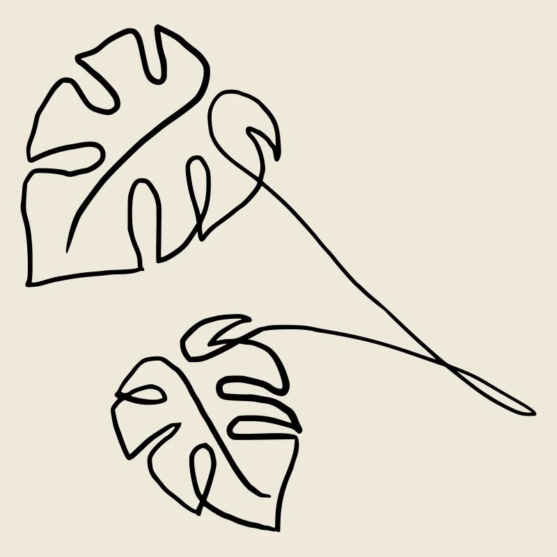 Monstera