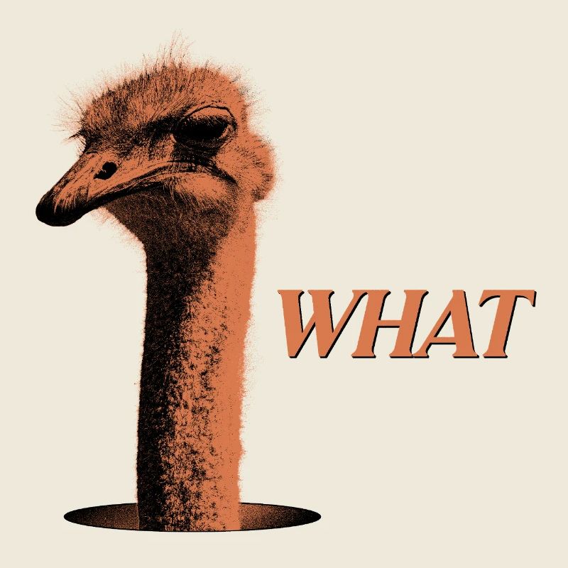 What?! – Grummelnder Strauß