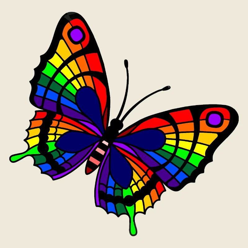 Regenbogen Schmetterling LGBTQ+