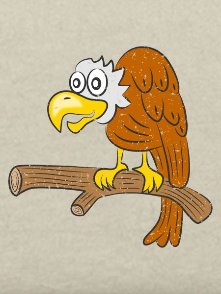 Geier Vogel