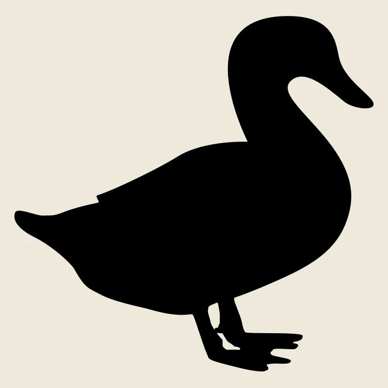 duck / duck / quack