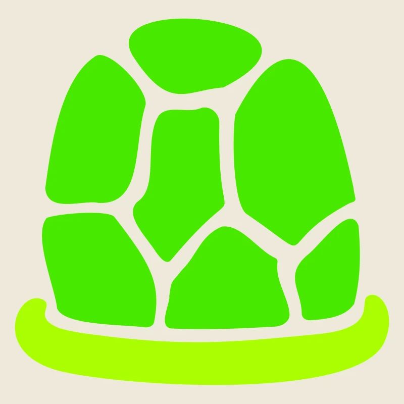 Turtle shell without turtle cute shell fun