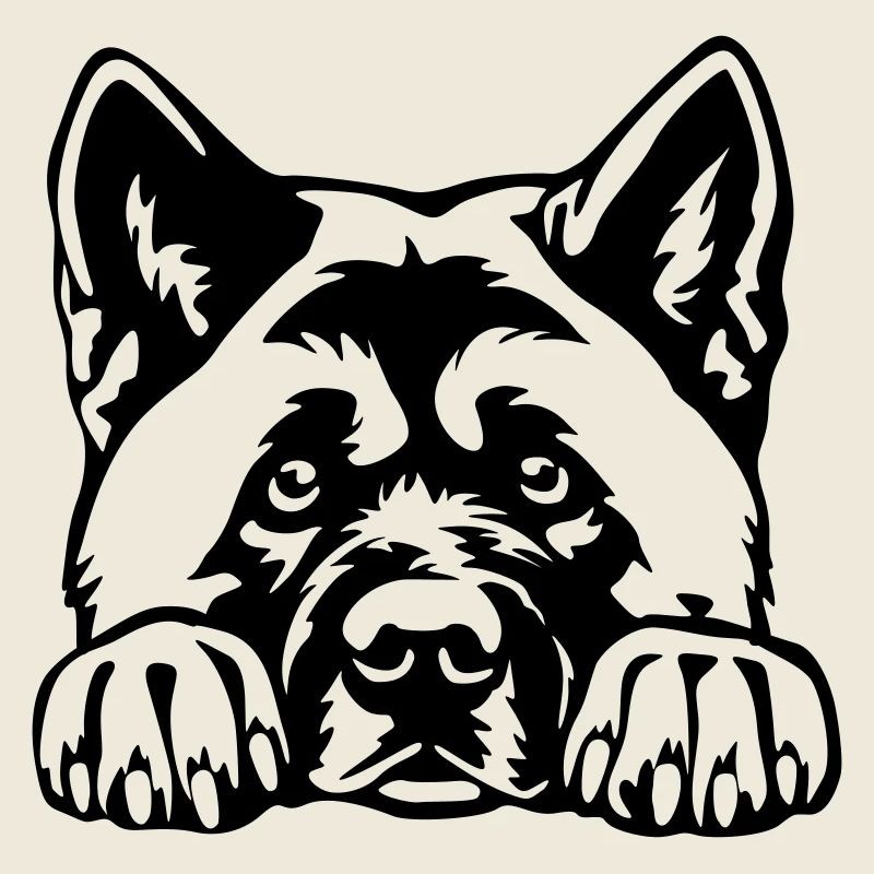 American Akita