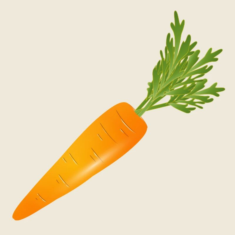 Bright orange carrot with green