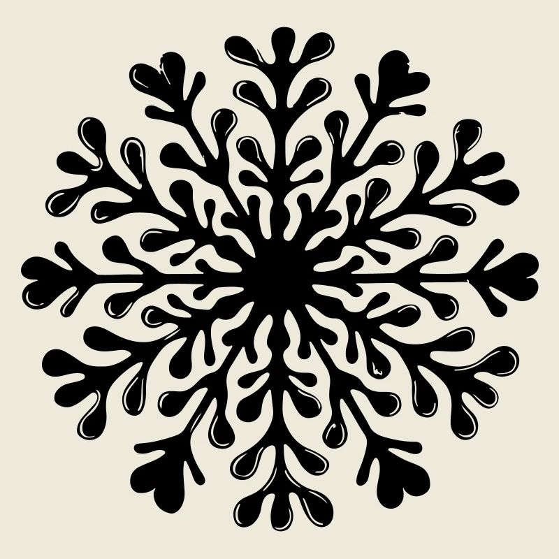Snowflake Winter Icon