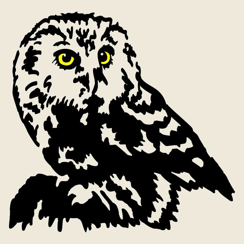 Steinkauz Eule