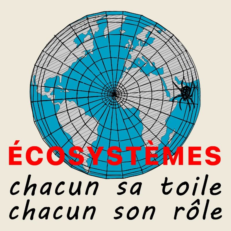 ecosystmes_chacun_sa_toile_chacun_son_role