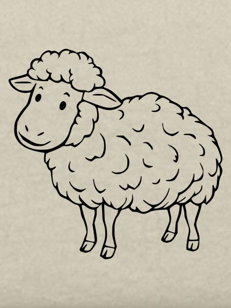 Schaf Schäfchen Lamm