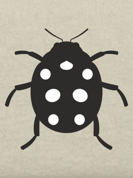 Ladybug design